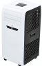 Мобильный кондиционер Electrolux Manhattan EACM-09 FM/N3 Мобильный кондиционер Electrolux Manhattan EACM-09 FM/N3
