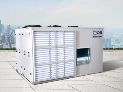 Крышный кондиционер Dunham Bush ACPSE160PHPG Крышный кондиционер Dunham Bush ACPSE160PHPG